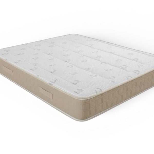 WhatsApp Image 2026-01-15 at 2.42.14 PM