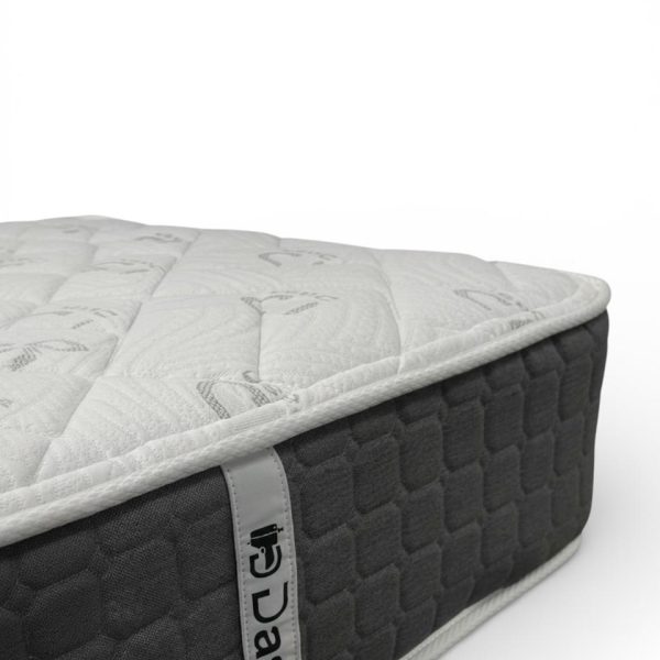 WhatsApp Image 2026-01-15 at 8.46.50 PM