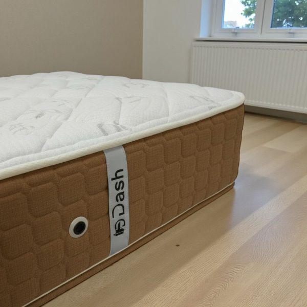 WhatsApp Image 2026-01-15 at 9.02.09 PM